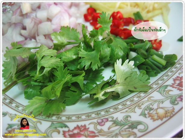http://www.pim.in.th/images/all-snacks/nham-kai-tod/nham-kai-tod12.jpg