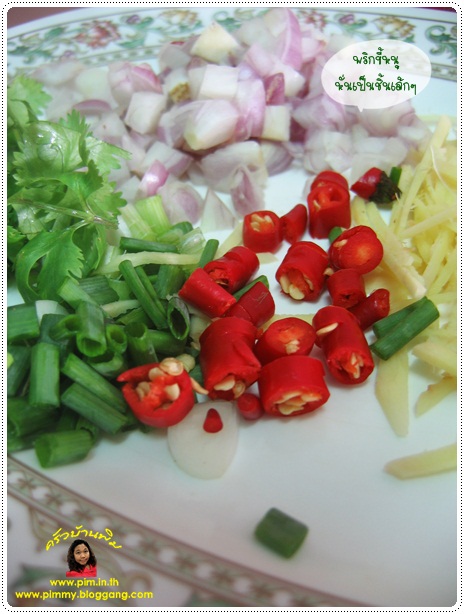 http://www.pim.in.th/images/all-snacks/nham-kai-tod/nham-kai-tod13.jpg