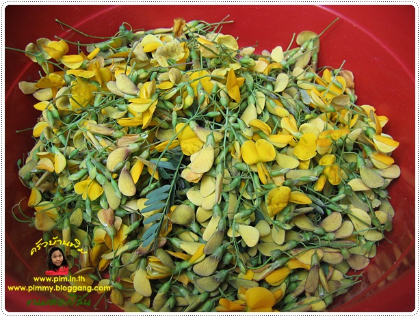 http://www.pim.in.th/images/all-thai-dessert/sesbania-flower/sesbania-flower-sweet-02.jpg