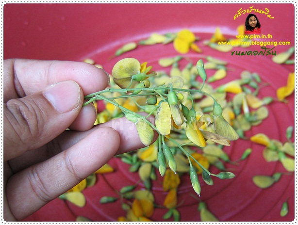 http://www.pim.in.th/images/all-thai-dessert/sesbania-flower/sesbania-flower-sweet-03.jpg