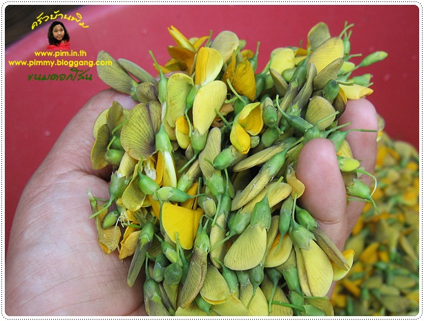 http://www.pim.in.th/images/all-thai-dessert/sesbania-flower/sesbania-flower-sweet-05.jpg