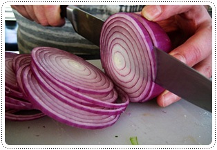 http://pim.in.th/images/others_img/1Pic/onion-slice.jpg