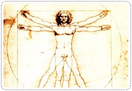 http://www.pim.in.th/images/others_img/Davinci/davinci_vitruvianman_hf.jpg