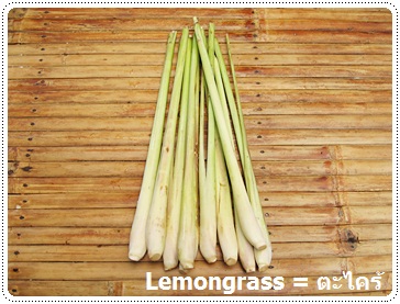 http://pim.in.th/images/vegetables/lemongrass.JPG