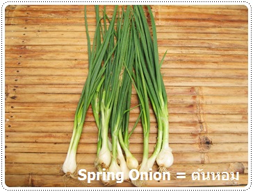 http://pim.in.th/images/vegetables/spring-onion.JPG