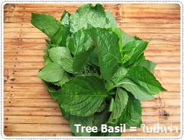 http://pim.in.th/images/vegetables/tree-basil.JPG