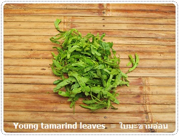 http://pim.in.th/images/vegetables/young-tamarind-leaves.JPG