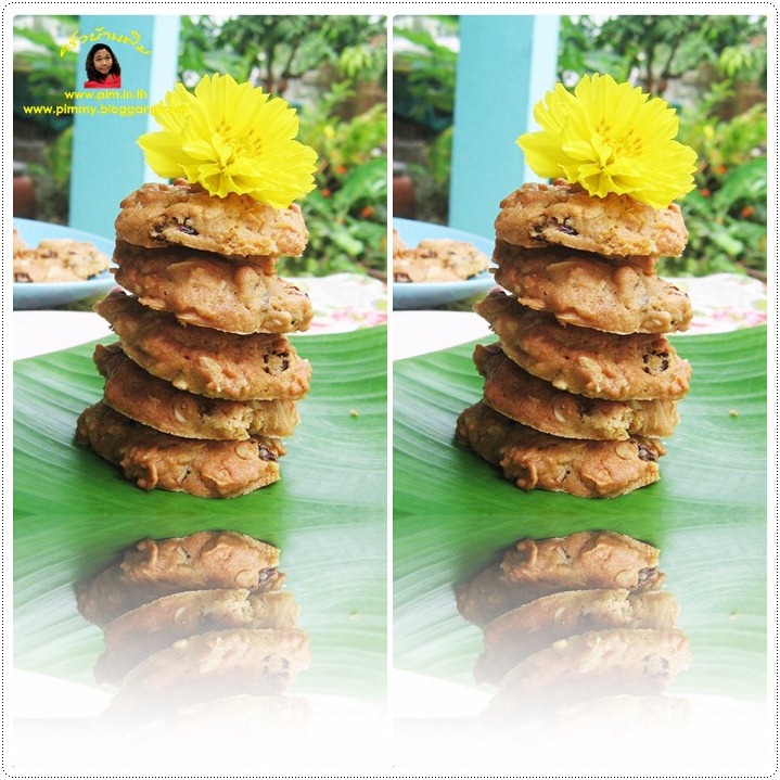 http://pim.in.th/images/all-bakery/oat-cookies/oat-cookies-033.jpg