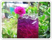 http://www.pim.in.th/images/all-drink/sweet-lemon-violet/00.JPG