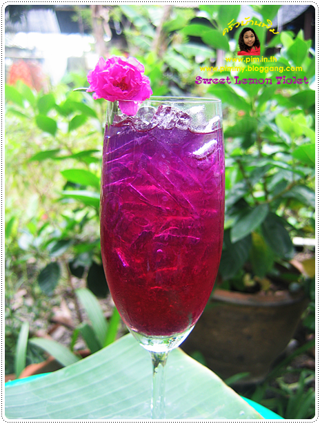 http://www.pim.in.th/images/all-drink/sweet-lemon-violet/01.png