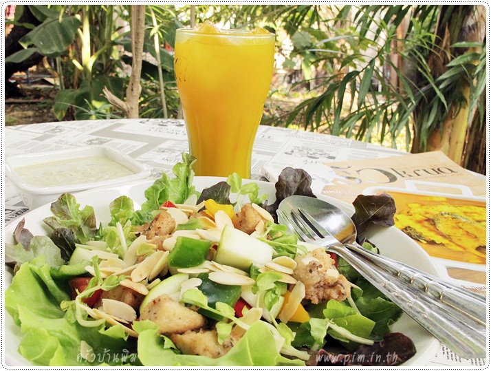 http://pim.in.th/images/all-one-dish-food/chicken-salad/chicken-salad-with-yogurt-sauce-16.JPG