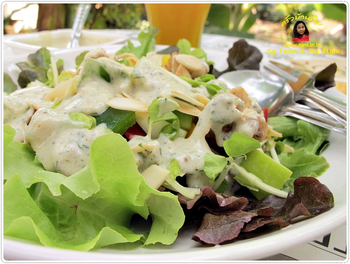 http://pim.in.th/images/all-one-dish-food/chicken-salad/chicken-salad-with-yogurt-sauce-22.JPG
