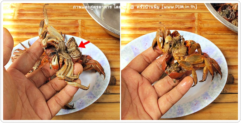 http://www.pim.in.th/images/all-one-dish-shrimp-crab/crap-curd-dip/crap-curd-dip-08.jpg