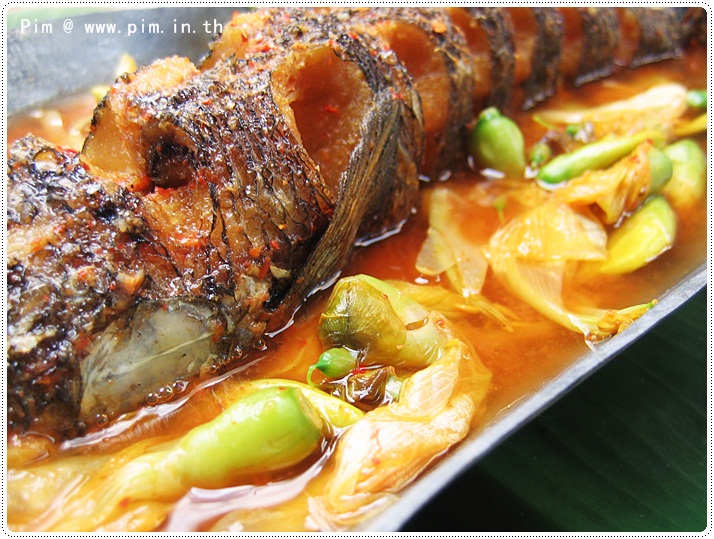 http://pim.in.th/images/all-side-dish-fish/kang-som-pla-chon-tod/kang-som-pla-chon-tod-16.JPG