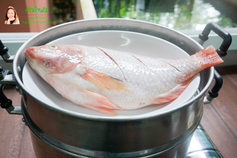 steamed fish with garlic sauce 03