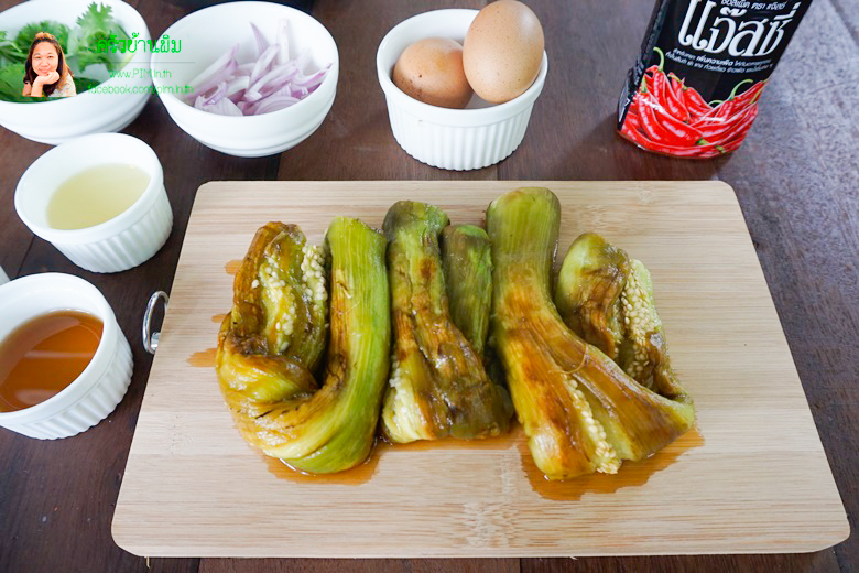 spicy grilled eggplants salad 12