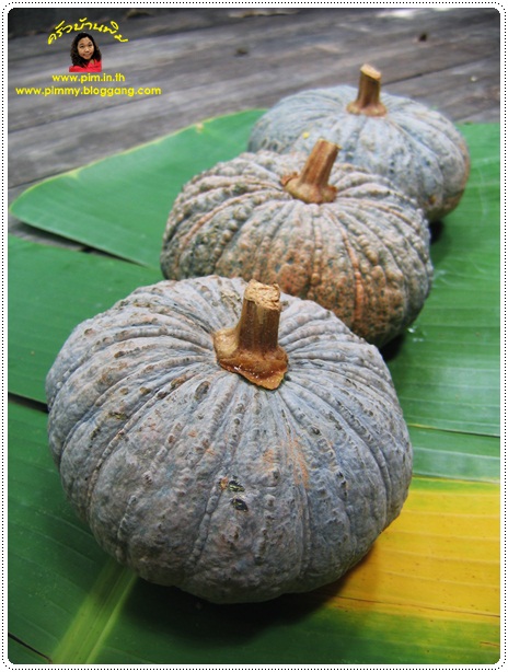 http://www.pim.in.th/images/all-thai-dessert/steamed-custard-in-pumpkin/001.jpg