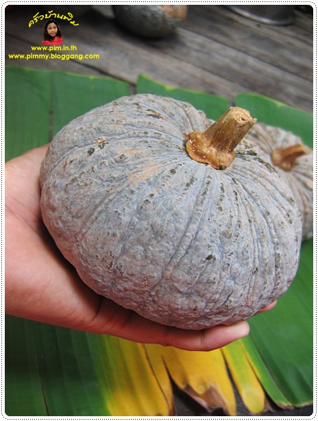 http://www.pim.in.th/images/all-thai-dessert/steamed-custard-in-pumpkin/002.jpg
