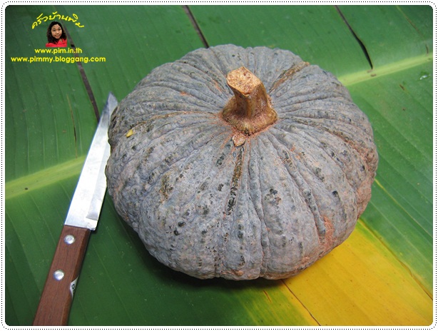 http://www.pim.in.th/images/all-thai-dessert/steamed-custard-in-pumpkin/004.jpg