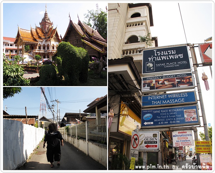http://pim.in.th/images/pim-travel/chiangmai2011/review-thapae-garden-guesthouse/thapae-garden-guesthouse-07.jpg