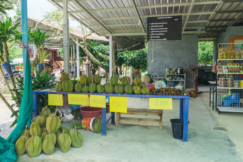 rayong day1 17