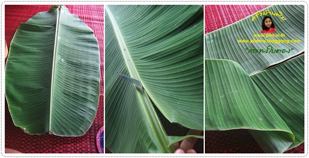 http://www.pim.in.th/images/tips-in-kitchen/banana-leaves-vessel/banana-leaves-vessel-0017.jpg
