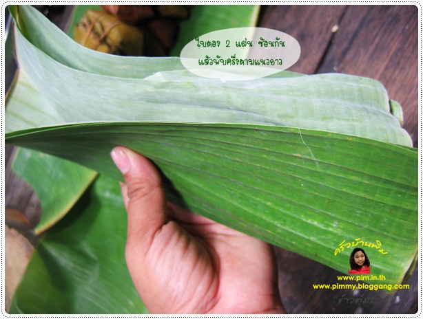 http://www.pim.in.th/images/tips-in-kitchen/wrap-by-banana-leaves/wrap-by-banana-vessel-04.jpg